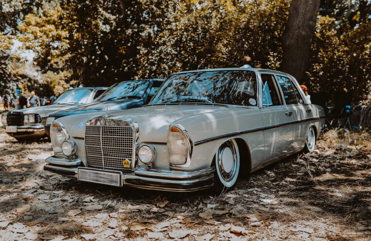 classic cars parked under tree